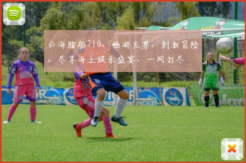 公海赌船710，畅游无界，刺激冒险，尽享海上娱乐盛宴，一网打尽