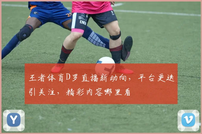 王者体育D罗直播新动向，平台更迭引关注，精彩内容哪里看